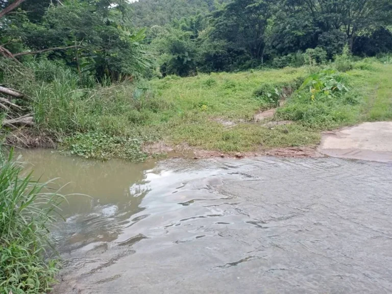 ขายที่ดินติดถนนสาธารณะลำธารน้ำแม่ทาปลาดุกลำพูนโฉนดพร้อมโอน