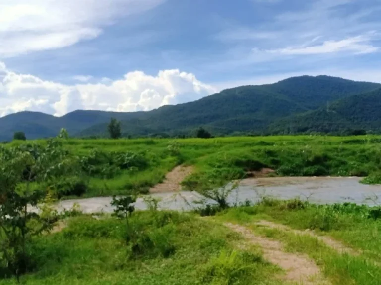 ขายที่ดินบ้านแม่ทาปลาดุกลำพูนติดถนนติดลำธารน้ำไหลผ่าน