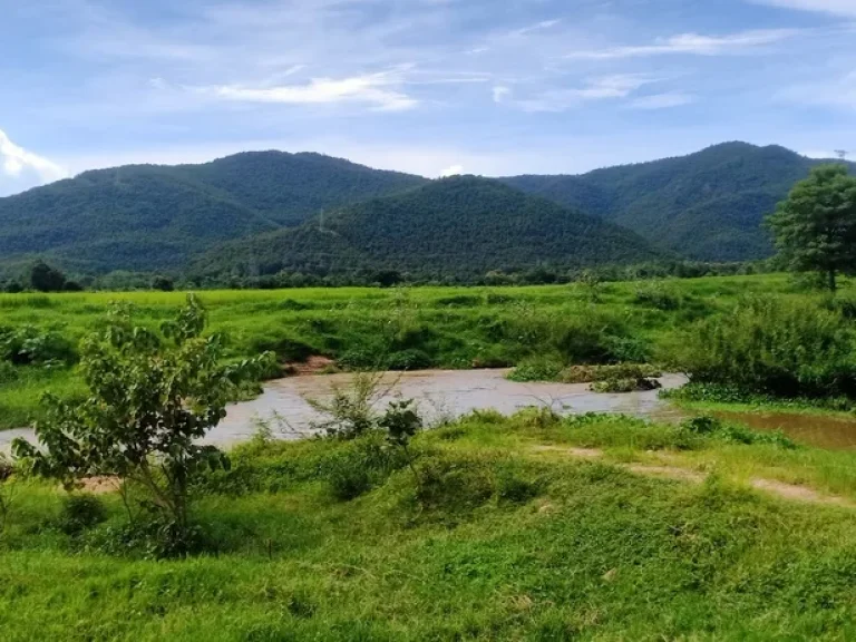 ขายที่ดินบ้านแม่ทาปลาดุกลำพูนติดถนนติดลำธารน้ำไหลผ่าน