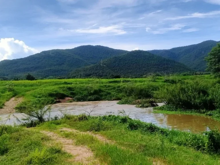 ขายที่ดินบ้านแม่ทาปลาดุกลำพูนติดถนนติดลำธารน้ำไหลผ่าน