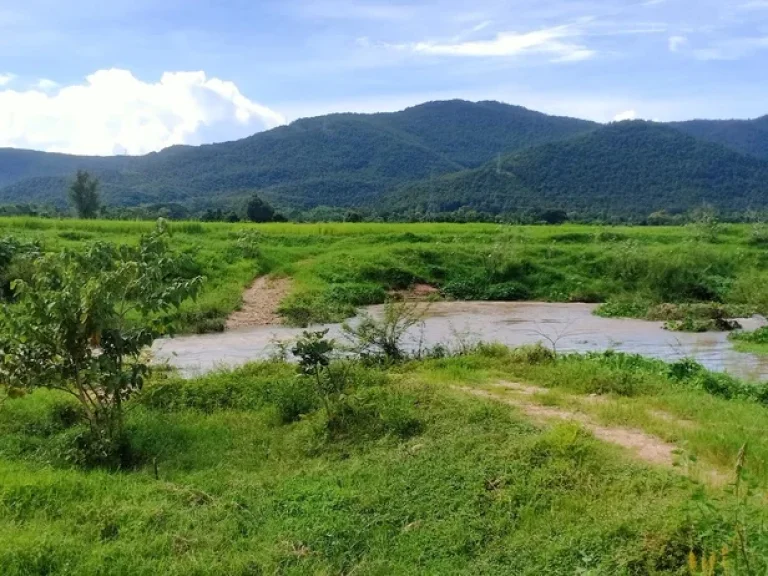 ขายที่ดินบ้านแม่ทาปลาดุกลำพูนติดถนนติดลำธารน้ำไหลผ่าน