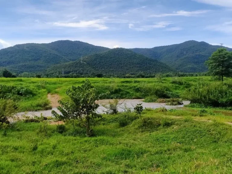 ขายที่ดินบ้านแม่ทาปลาดุกลำพูนติดถนนติดลำธารน้ำไหลผ่าน