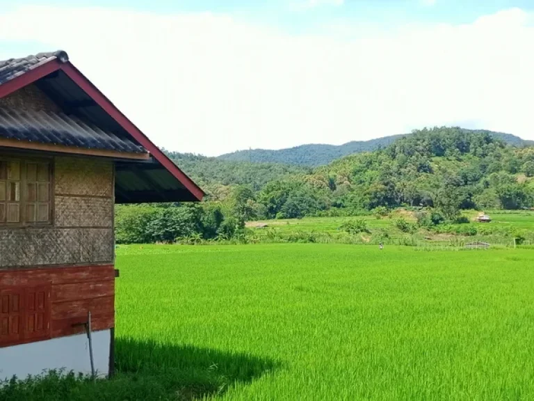 ที่นาพร้อมบ้านพักตากอากาศ ร่มรื่นน่าอยู่ สวยวิวเขา วิวเทพ 360 องศา