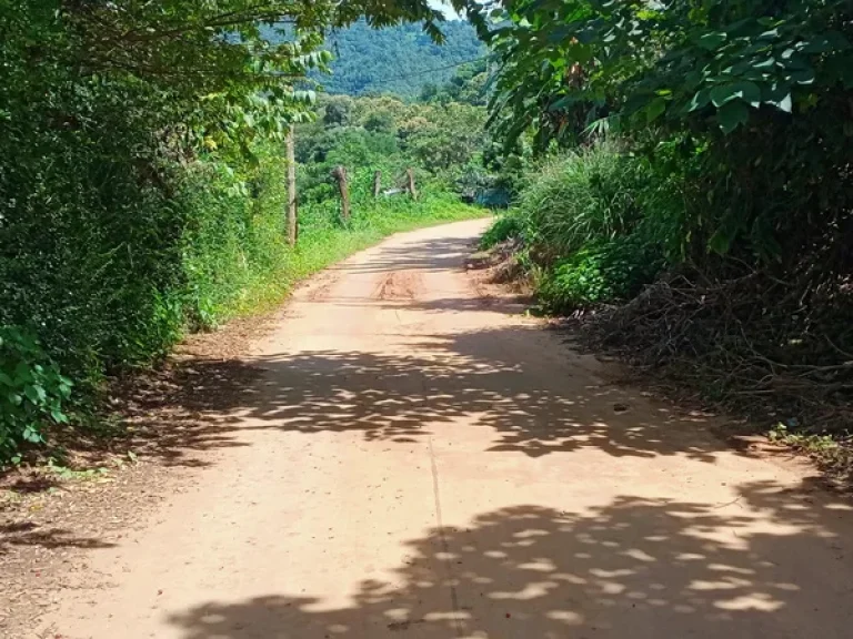 ที่นาพร้อมบ้านพักตากอากาศ ร่มรื่นน่าอยู่ สวยวิวเขา วิวเทพ 360 องศา