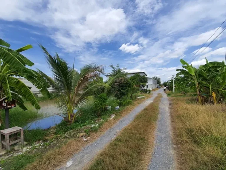 ขายที่ดินโกดัง ไทรน้อย ถนนบางกรวย-ไทรน้อย อไทรน้อย จนนทบุรี