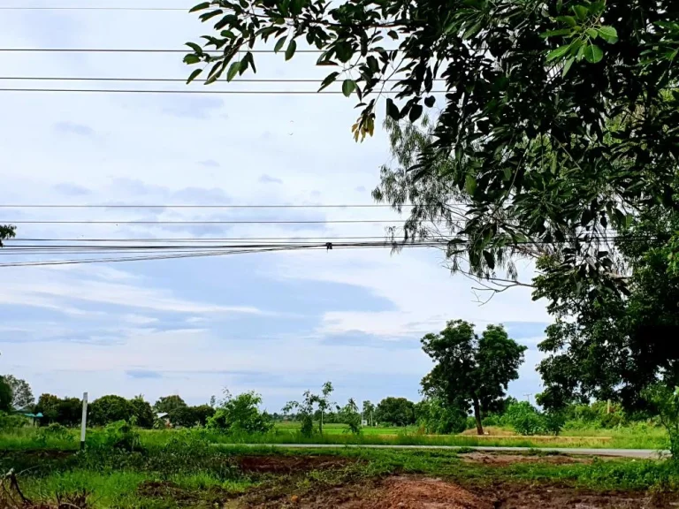 ขายทีริมแม่น้ำท่าจีนด้านหน้าติดถนนลาดยาง ด้านหลังติดแม่น้ำท่าจีน