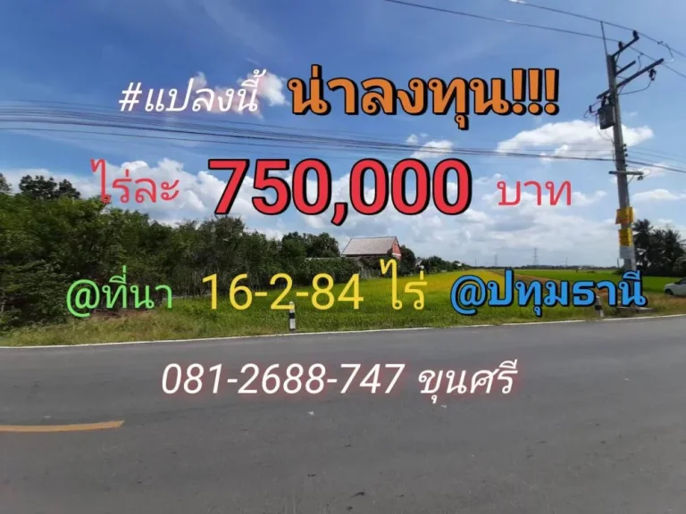 ขายที่ดินราคาถูกมาก 16-2-84 ไร่ ติดถนน เทศบาล5 อลาดหลุมแก้ว จปทุมธานี