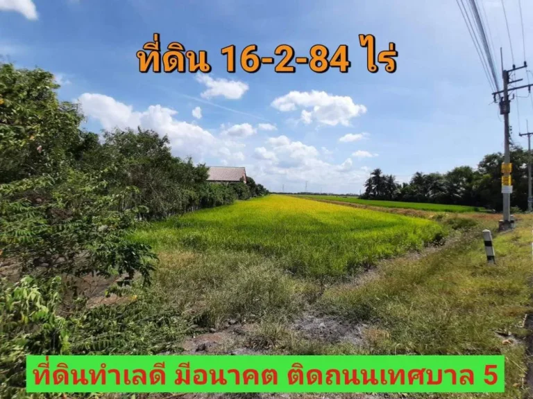 ขายที่ดินราคาถูกมาก 16-2-84 ไร่ ติดถนน เทศบาล5 อลาดหลุมแก้ว จปทุมธานี