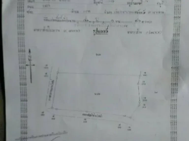 ขายที่ดิน 12 ไร่กว่า ติดถนนสาธารณะ จังหวัดมหาสารคาม