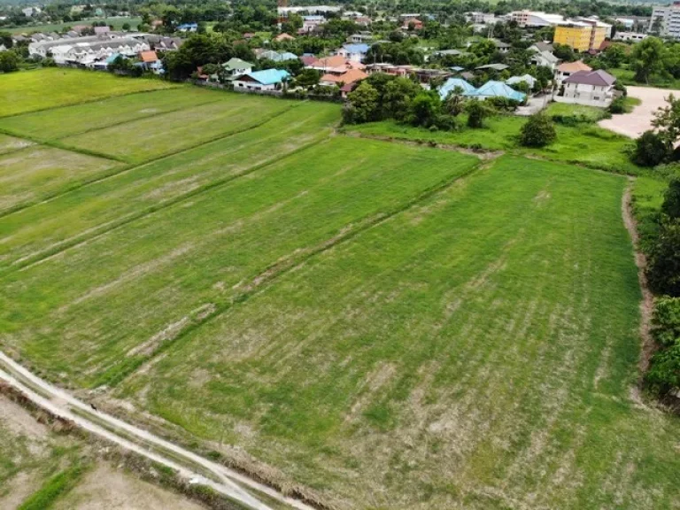 ขายที่ดินเมืองนครนายก 225 ไร่ ใกล้ถนนสุวรรณศร 33 เพียง 600 เมตร จนครนายก