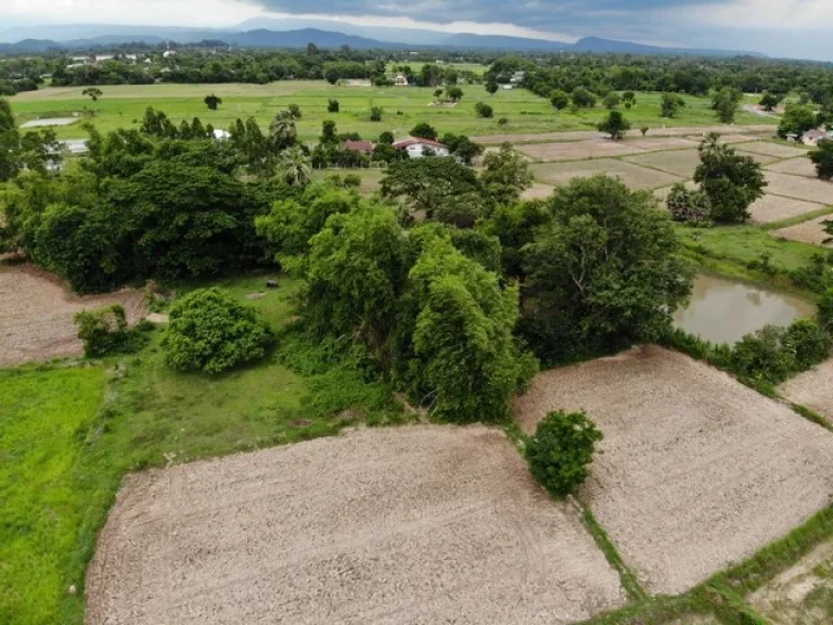 ขายที่ดินเมืองนครนายก 225 ไร่ ใกล้ถนนสุวรรณศร 33 เพียง 600 เมตร จนครนายก