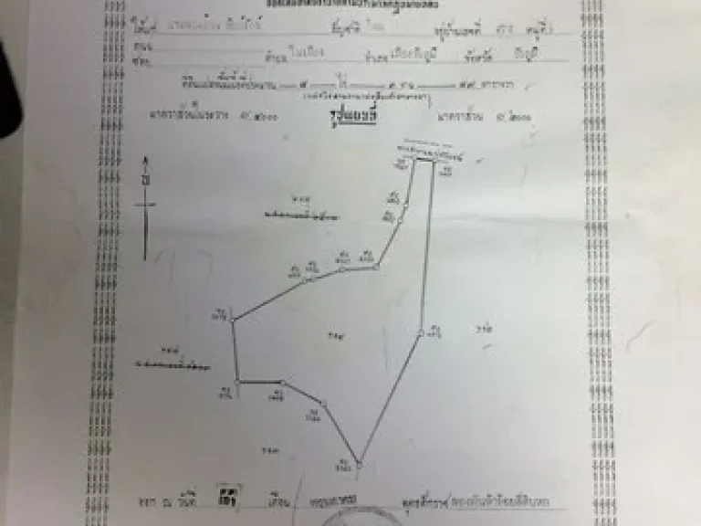 ขายที่ดิน ทีนา 8 ไร่ 12 ล้านบาท ตในเมือง ชัยภูมิ เจ้าของขายเอง