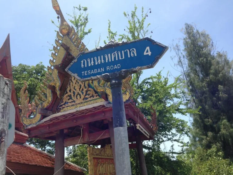 ขายที่ดิน 22 ไร่ หาดเจ้าสำราญ เหมาะจัดสรรและทำเกษตร