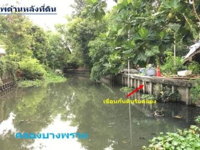 ขายที่ดินทำเลสวย ซอยเอกชัย50 ด้านหน้าติดถนนสาธารณะ ด้านหลังติดคลองบางพราน