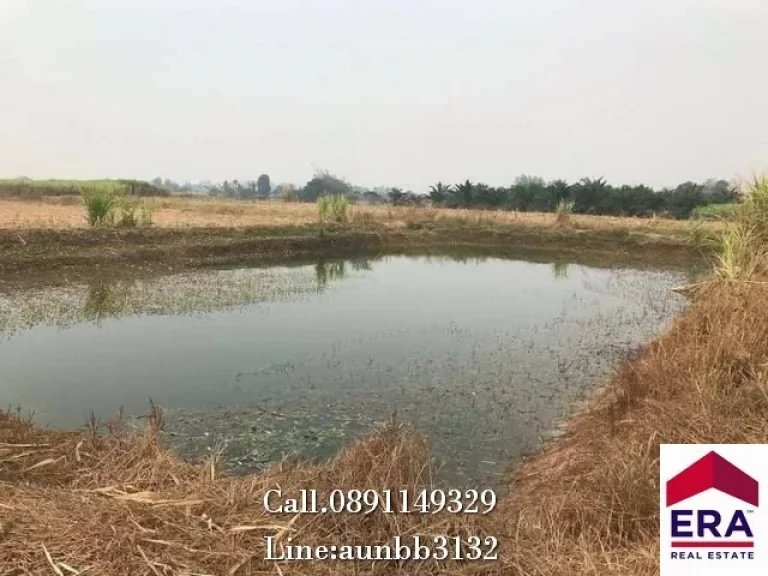 ขายที่ดิน 39-1-44 ไร่ ตเบิกไพร อจอมบึง จราชบุรี เหมาะสำหรับทำการเกษตรสวนผสม