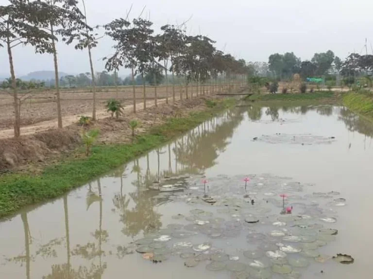 ขายโครงการโคก หนอง นา โมเดลพร้อมสวนและอุปกรณ์ทำการเกษตร เชียงราย