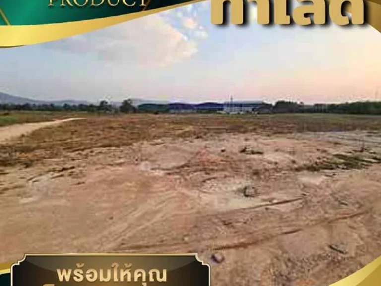 ขายที่ดิน 146 ไร่ ตตะเคียนเตี้ย อบางละมุง จชลบุรี อยู่บนถนนเส้นคู่ขนานมอเตอร์เวย์ สาย7