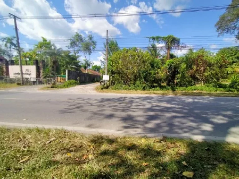 ขาย ที่ดิน ห่างจากถนนหลัก200เมตร ที่ดินเกาะสมุย ลิปะน้อย 38 ไร่