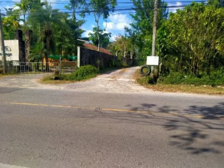 ขาย ที่ดิน ห่างจากถนนหลัก200เมตร ที่ดินเกาะสมุย ลิปะน้อย 38 ไร่