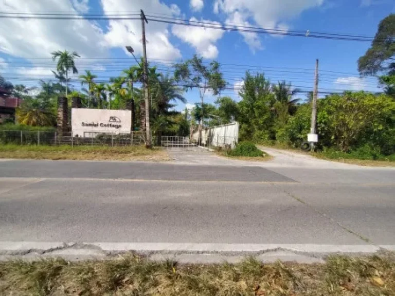 ขาย ที่ดิน ห่างจากถนนหลัก200เมตร ที่ดินเกาะสมุย ลิปะน้อย 38 ไร่