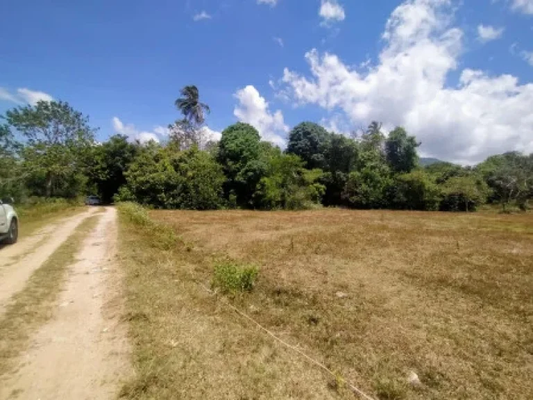 ขาย ที่ดิน ห่างจากถนนหลัก200เมตร ที่ดินเกาะสมุย ลิปะน้อย 38 ไร่