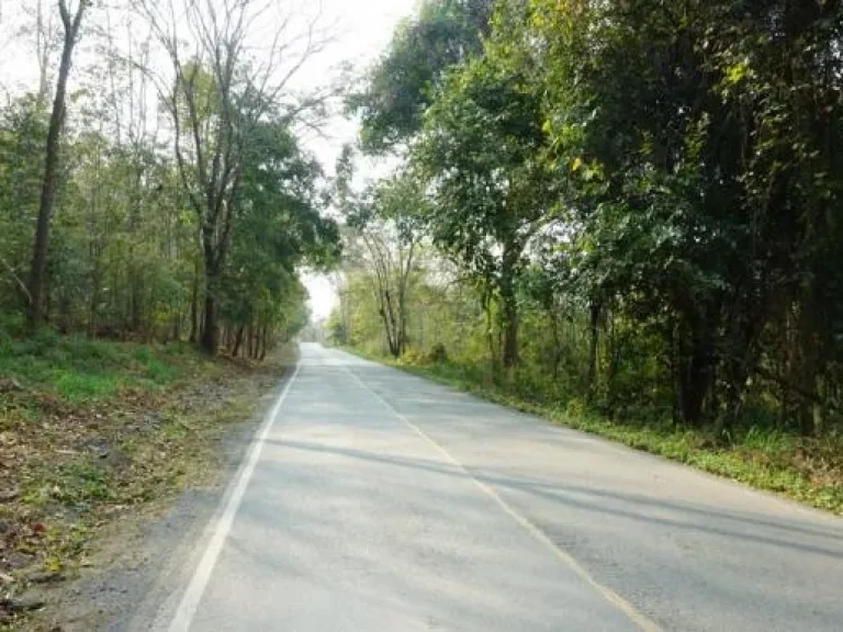 ขายที่ดิน อดอยสะเก็ด 200 เมตร จากถนนเมนดอยสะเก็ด - สันกำแพง