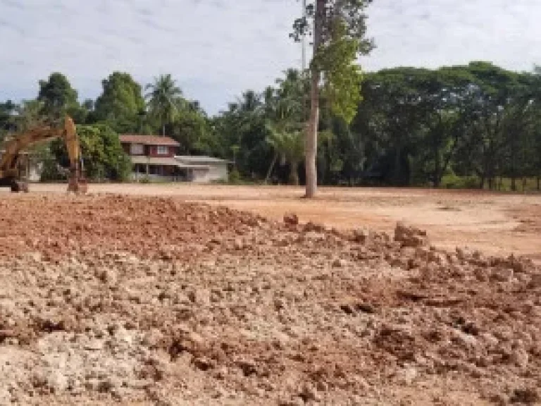 ขาย ที่ดิน พระธาตุบังพวน หนองคาย ใกล้วัดพระธาตุบังพวน 3 ไร่