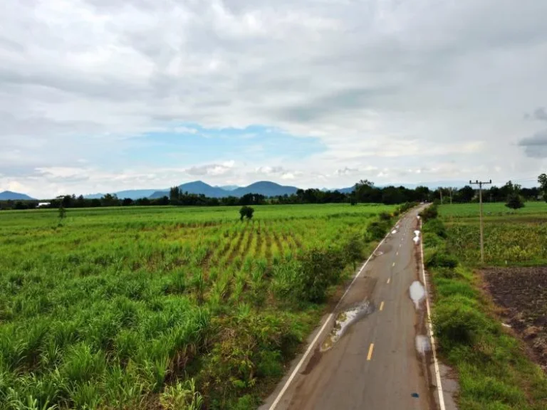 ติดถนนดำ 200 ตรว ผ่อนเบา 3500 ตชอนสมบูรณ์ อหนองม่วง จลพบุรี