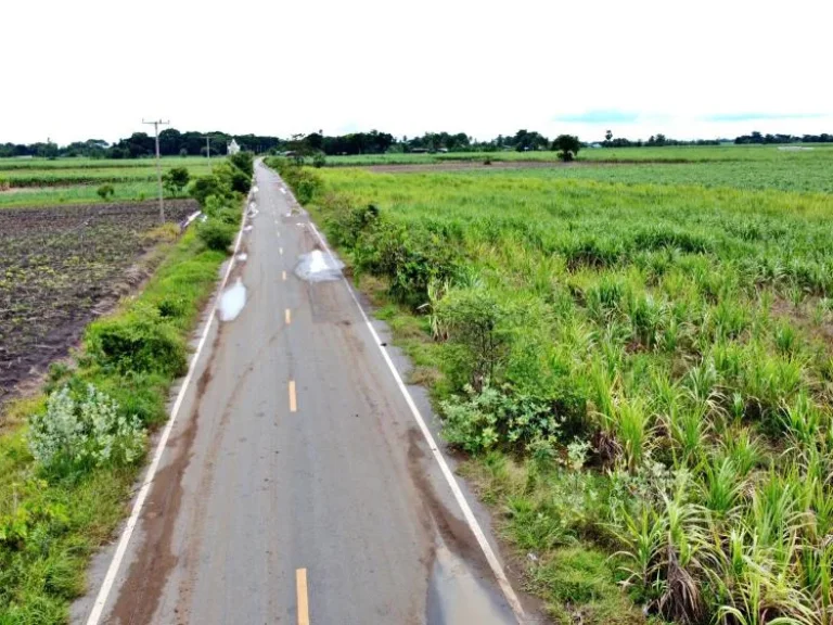 ติดถนนดำ 200 ตรว ผ่อนเบา 3500 ตชอนสมบูรณ์ อหนองม่วง จลพบุรี