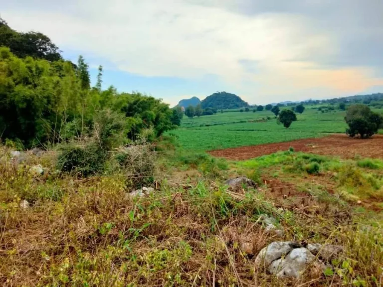 ขายที่ดินเขาใหญ่ 10 ไร่ หลังติดเขา อคลองม่วง ปากช่อง วิวสวยมาก บรรยากาศดีมาก โฉนดครุฑแดง เหมาะรีสอร์ท แปลงจัดสรร ซื้อลงทุนเก็บไว้ คุ้มแน่นอน ขายถูก