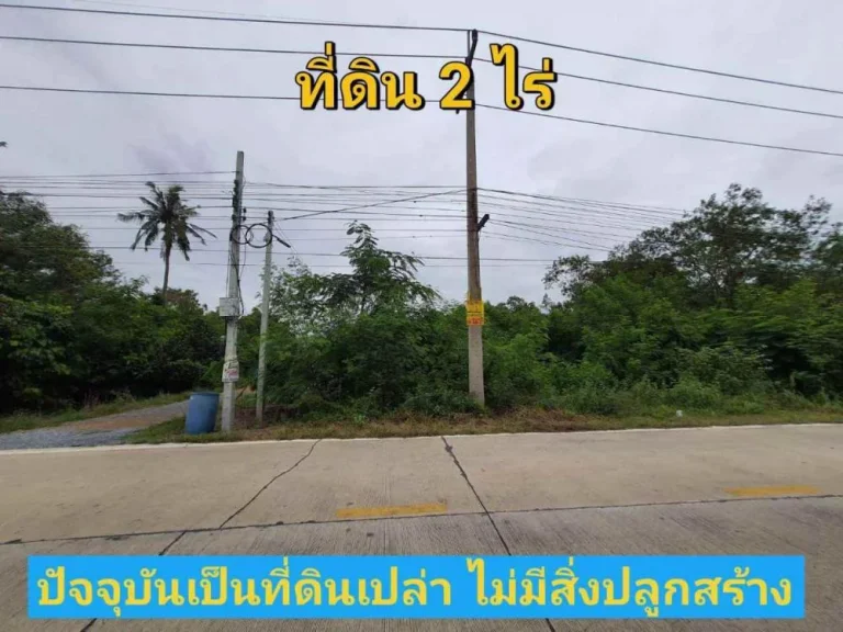 ขายต่ำกว่าราคาตลาด ที่ดิน 2 ไร่ ติดถนนคอนกรีตเลียบคลองหก ฝั่งตะวันตก อคลองหลวง