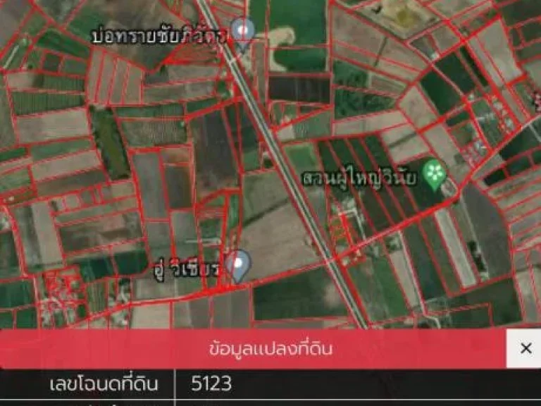 ขายที่ดิน 9 ไร่29ล้านใกล้ตลาดนัดหนองผักกะเฉดตำบลสาวร้องไห้อำเภอวิเศษชัยชาญ