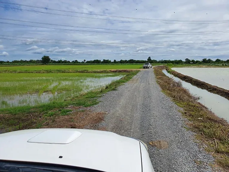 บรรยากาศวิวธรรมชาติท้องทุ่งนา ติดทาง ติดคลองส่งน้ำ 63 ไร่