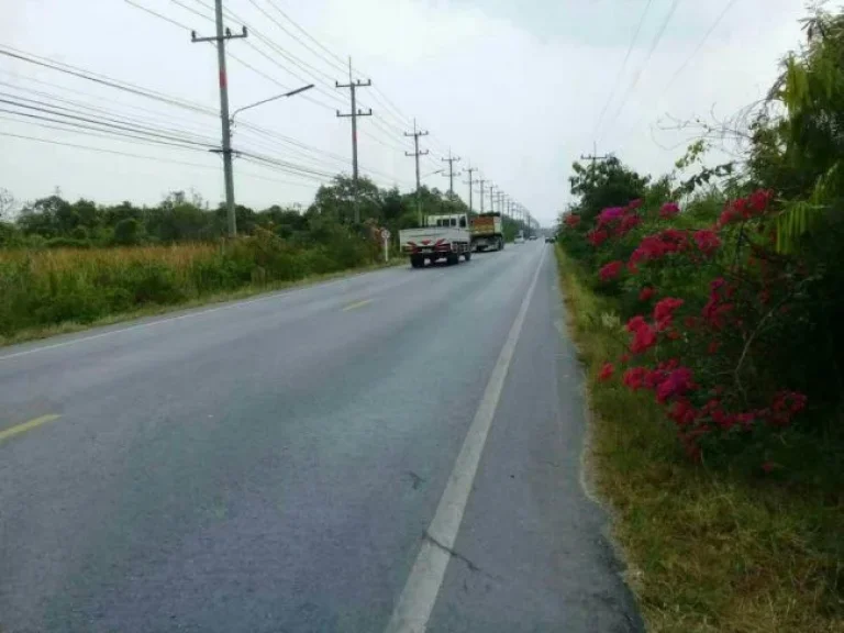 ขายที่ดิน แปลงใหญ่ติดถนน ติดแม่น้ำ เขตอุตสาหกรรม ติดแม่น้ำบางปะกง บ้านโพธิ์ ฉะเชิงเทรา เจ้าของขายเอง