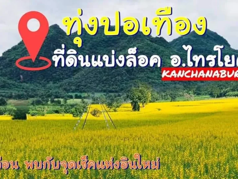 ขายที่ดิน อไทรโยค กาญจนบุรี 