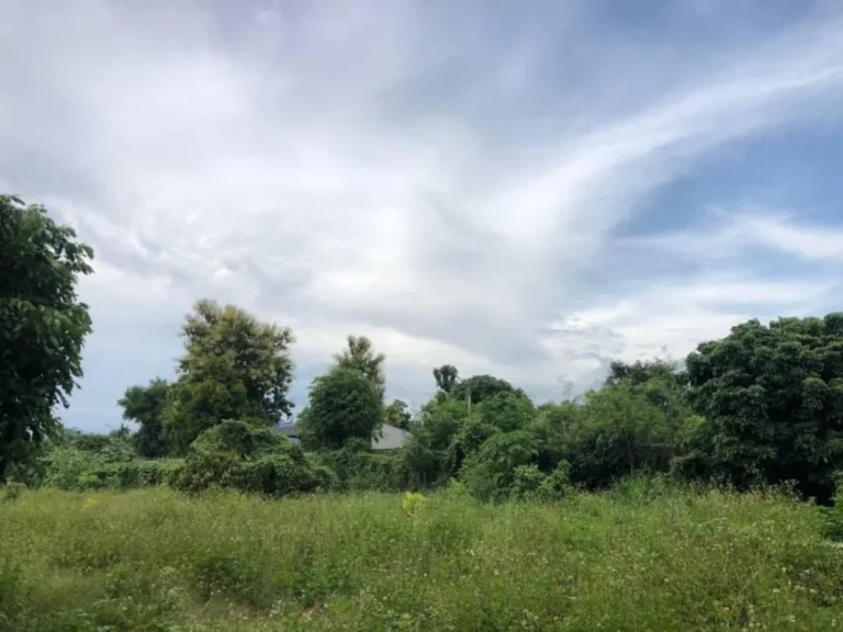 ขายที่ดินติดแม่น้ำขาน ด้านหน้าติดถนนดำ ใกล้โรงพยาบาลสันป่าตอง เชียงใหม่