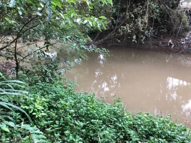 ขายที่ดินติดแม่น้ำขาน ด้านหน้าติดถนนดำ ใกล้โรงพยาบาลสันป่าตอง เชียงใหม่