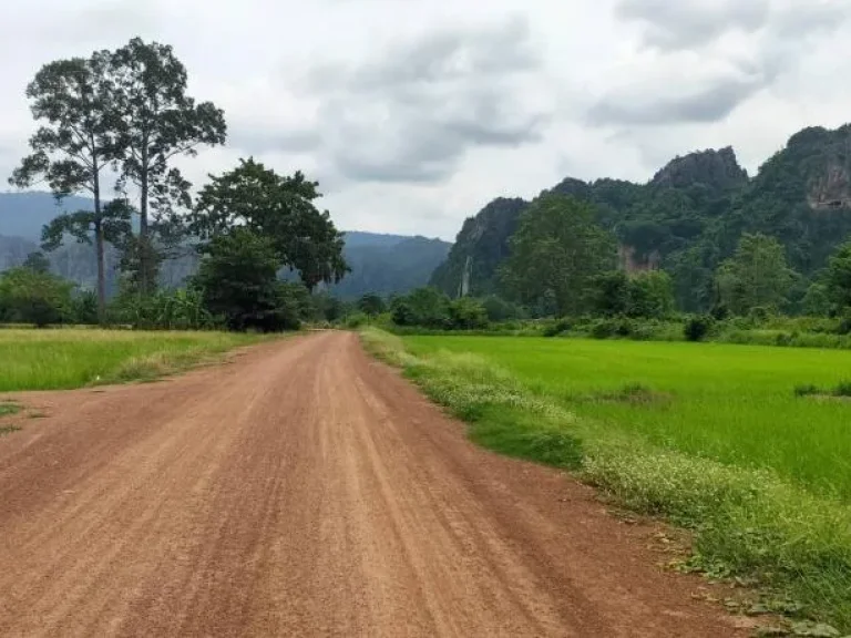 ขาย ที่ดินสวยๆ 13ไร่ 1งาน ใกล้สถานที่ท่องเที่ยวหลายแห่ง เนินมะปราง พิษณุโลก