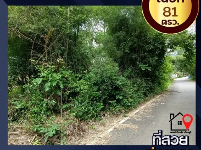 ขายที่ดิน 81 ตรว ใกล้อุทยานเเห่งชาติเขาใหญ่ ตเนินหอม อเมือง จปราจีนบุรี