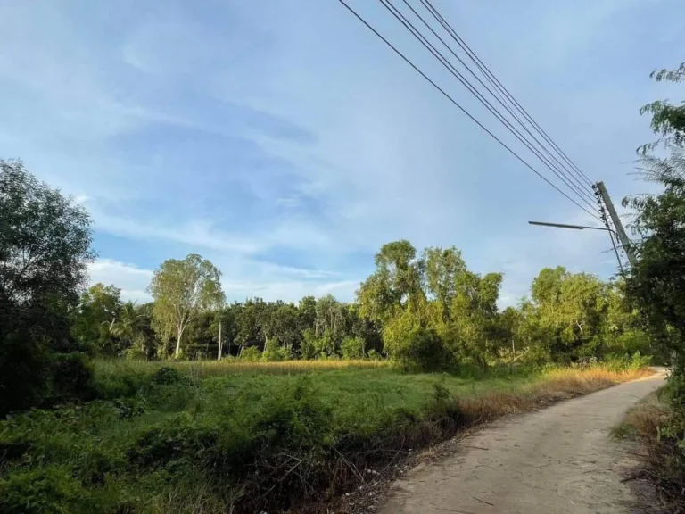 ขายที่ดินพนมสารคาม 257 ตรว ติดถนนคอนกรีต 2 ด้าน ใกล้เทศบาลท่าถ่าน - 300 เมตร จฉะเชิงเทรา