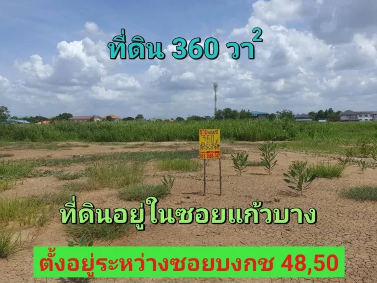 ขายที่ดินบงกช 360 ตารางวา ถมแล้ว อยู่ระหว่างซบงกช 4850ซแก้วบาง อคลองหลวง จปทุมธานี