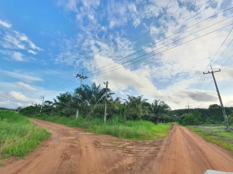 ขายที่ดิน 96 ไร่โฉนด 2 แปลงติดกัน สวน สวนปาล์ม เขาแก้ว ท่าใหม่ จันทบุรี