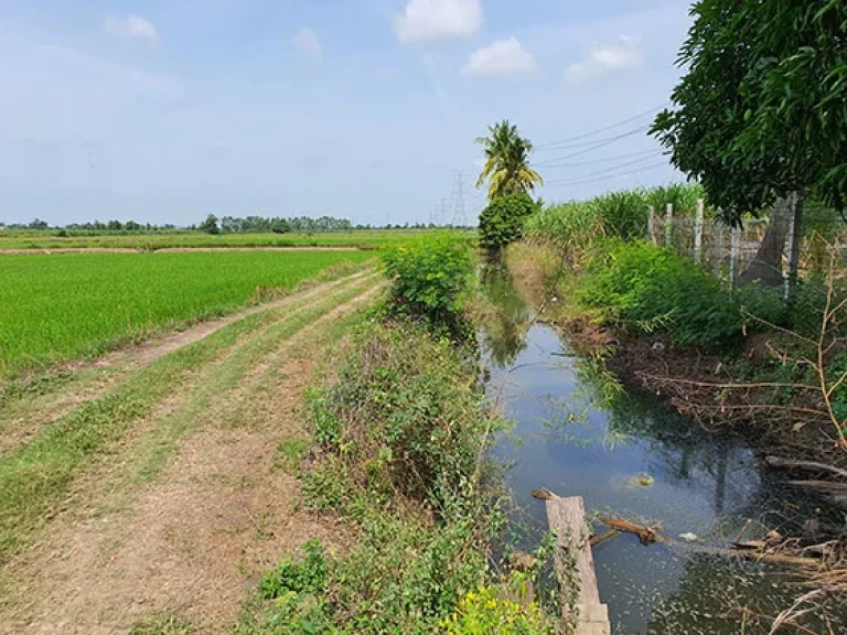 บรรยากาศแบบท้องทุ่งธรรมชาติ ติดทางสาธารณะและคลองชลส่งน้ำ ใกล้มอเตอร์เวย์ จุดเชื่อมต่อ 3 จังหวัด 10327ไร่