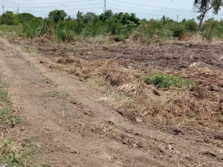 ขายที่ดินติดคลอง พุทธมณฑลสาย 1 ในหมู่บ้านมหาดไทย 1 ตลิ่งชัน กรุงเทพ ฯ