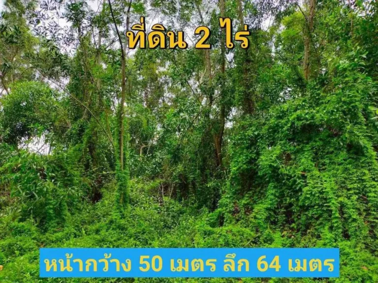 ขายต่ำกว่าตลาด ที่ดิน 2 ไร่ ราคาถูกเหมาะลงทุน ซอยเอราวัณ 27 อคลองหลวง จปทุมธานี