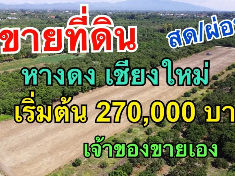 ขายที่ดิน เชียงใหม่ หางดง สดผ่อน บรรยากาศธรรมชาติ