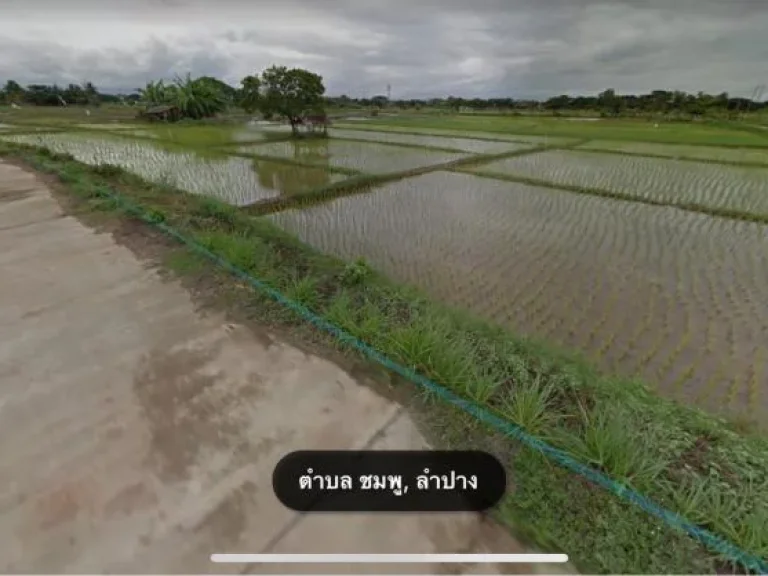 ขาย ที่ดิน 13ไร่ 2 งาน ตำบลชมพู อำเภอเมืองลำปาง จังหวัดลำปาง