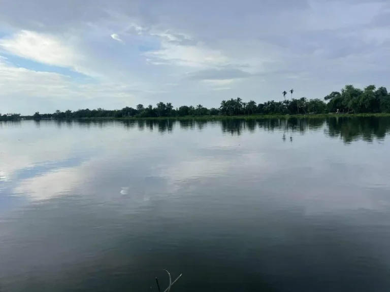 ขายที่ติดแม่น้ำท่าจีน อกระทุ่มแบน สมุทรสาคร เนื้อที่ 296 ตรว ที่สวยมาก วิวโค้งแม่น้ำ เหมาะปลูกบ้านพักริมน้ำ มี 3 แปลงเท่านั้น ขายด่วน