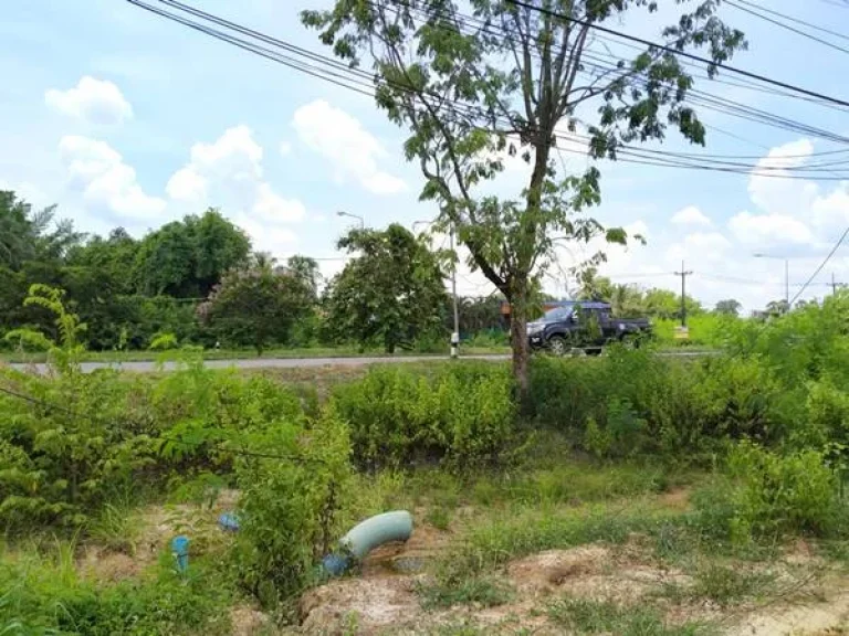 ทางหลวงหมายเลข 2 ถนนมิตรภาพ ที่ดิน 2-2-67 THB10000000 ตนาพู่ อเพ็ญ จอุดรธานี