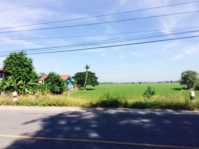 ที่นาติดถนนอุทัย-หนองตะโล่ใกล้นิคมโรจนะแปลงสวยทำเลดี